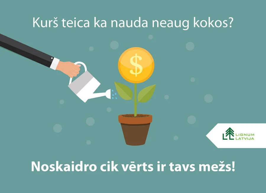 Facebook reklāmas dizains