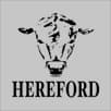Hereford