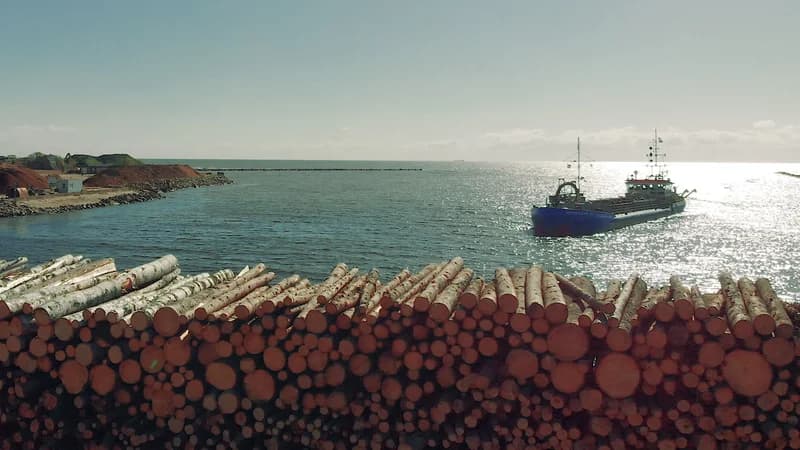 AS Latvijas valsts meži malkas piegādes video