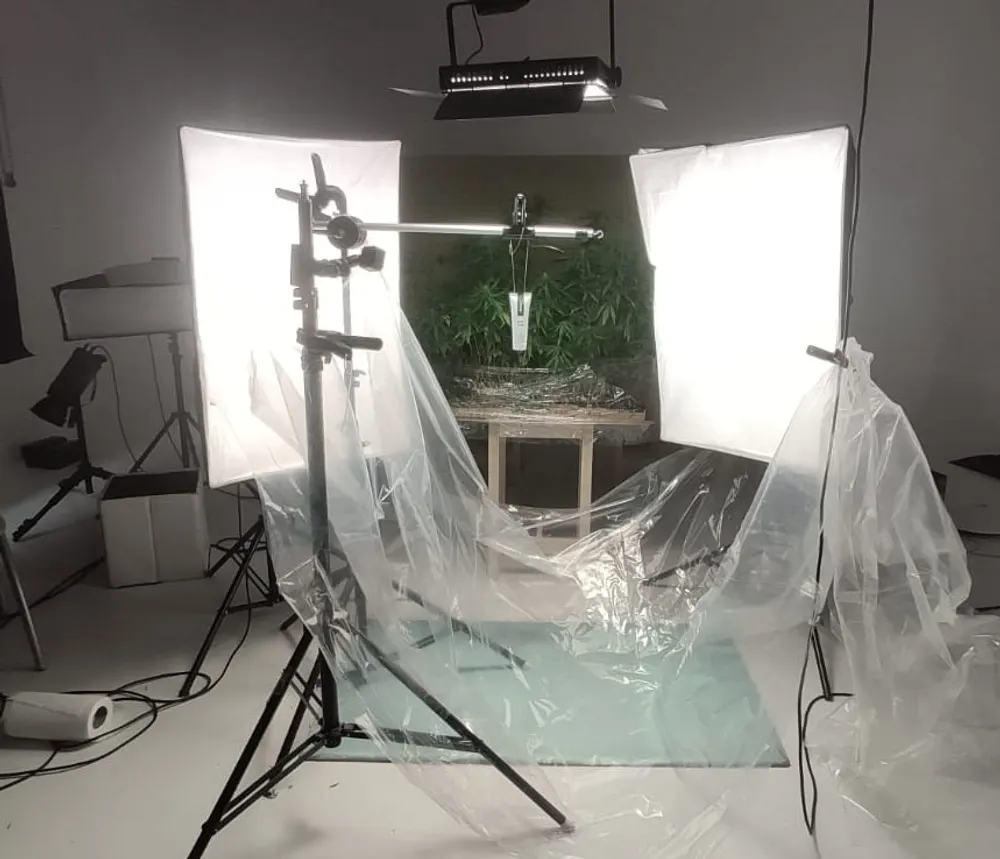 Moody studio lighting setup for a hemp product video shoot